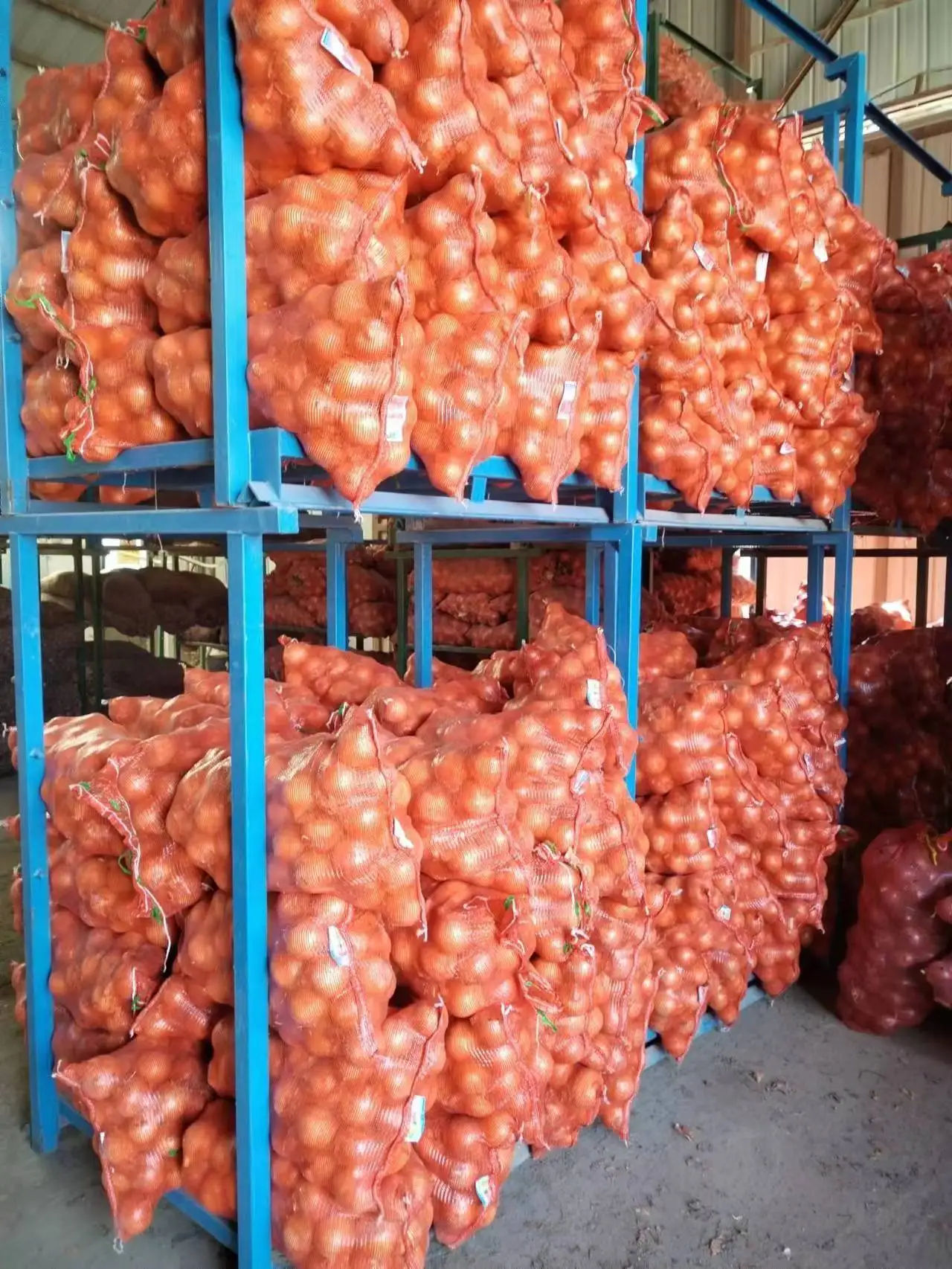 Premium Quality Red Onion New Crop Fresh yellow Onions Good Price Natural Healthy Red onions Wholesale