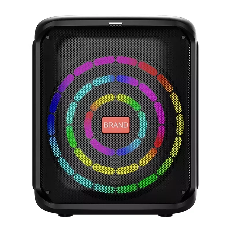 TEMEISHENG TMS-837 IPX4 Waterproof 8 inch Karaoke Bluetooth party wireless Portable speaker