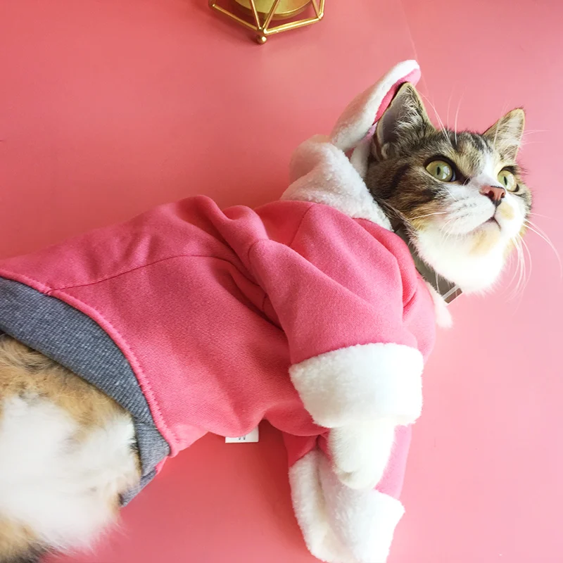 
Less expensive halloween baby cat clothes online 