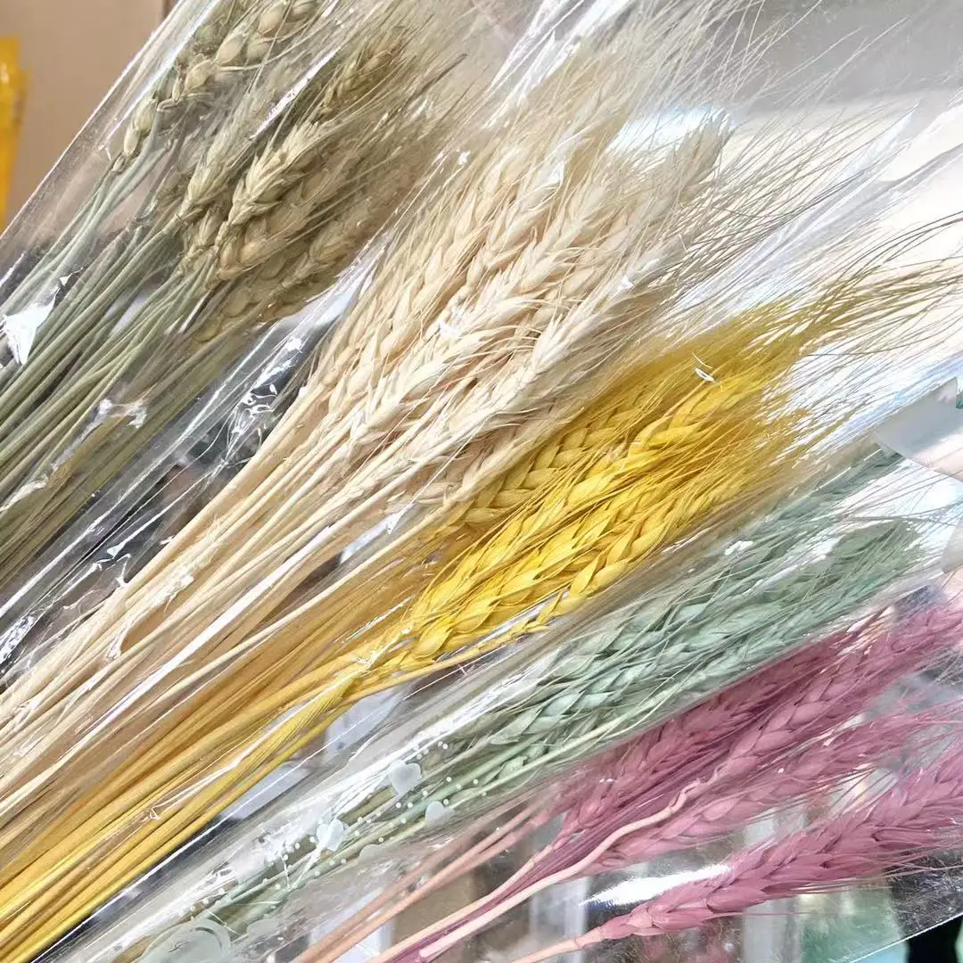 
Factory Wholesale Wheat Flower Dried Wheat Straw Colorful Dried Wheat for Decoration 