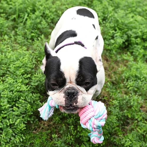 
Wholesale 8*32cm pet chew rope toy,durable pet toys 