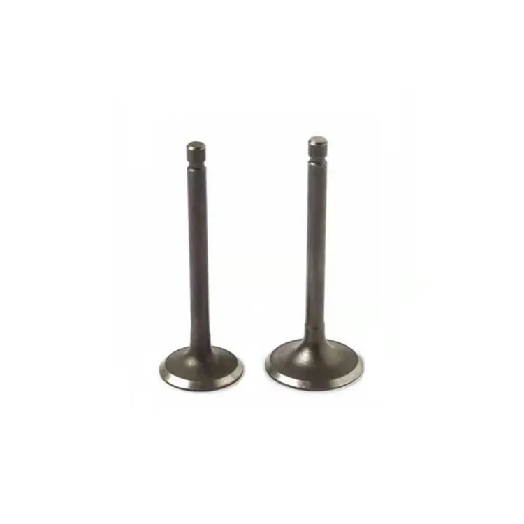 YBR 125 low price Engine valve motocycle motocicleta Intake Exhaust Valve motorcycle spare