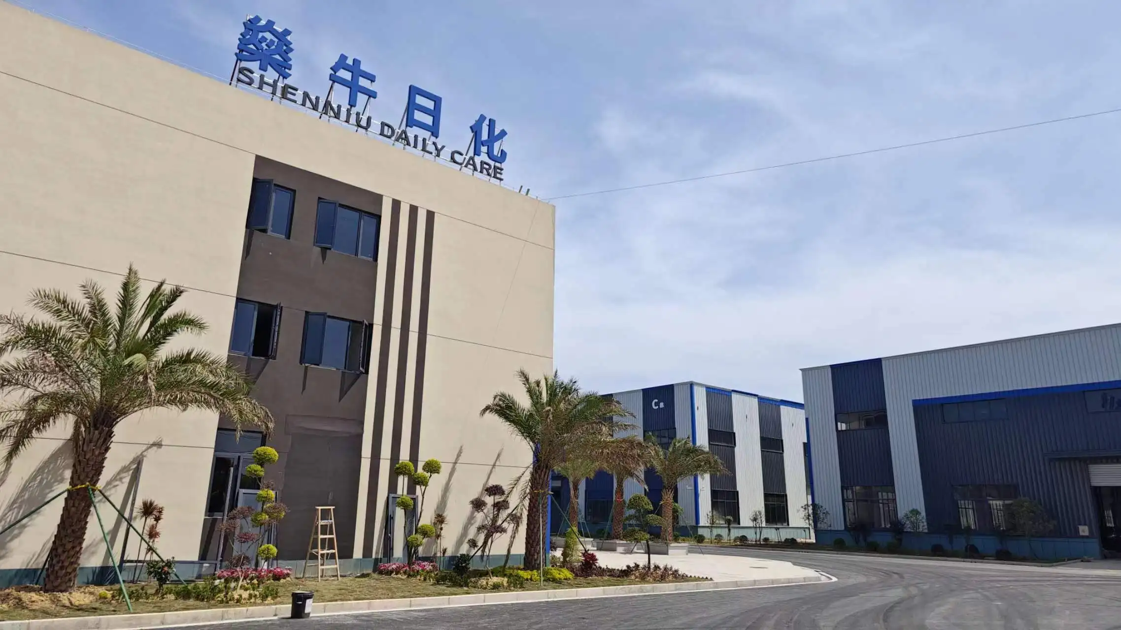 CHANO Customisable Eco-Friendly All-in-One Liquid Washing Pods Disposable Pure Wholesale Laundry Beads Gel Capsule for Apparel