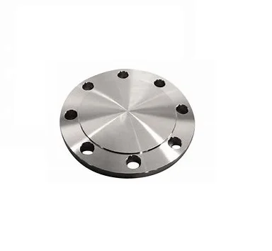 Stainless/Carbon Steel Forged Blind Flange
