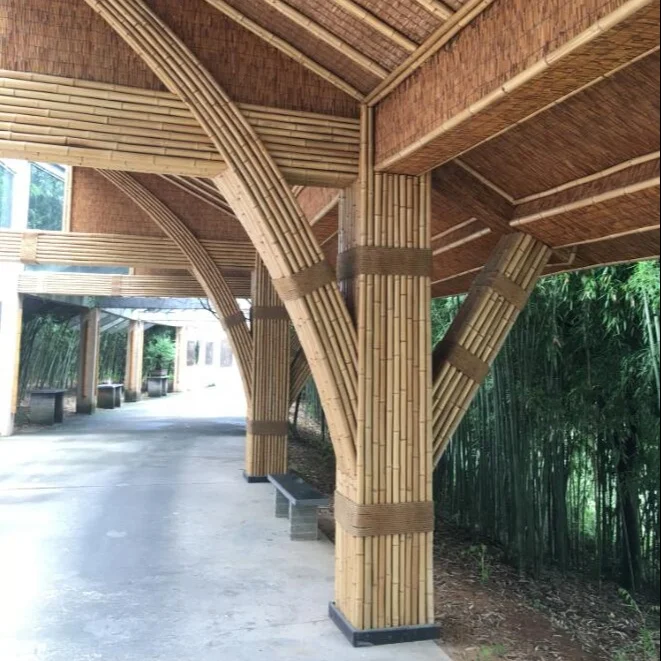 Moso bamboo poles for construction