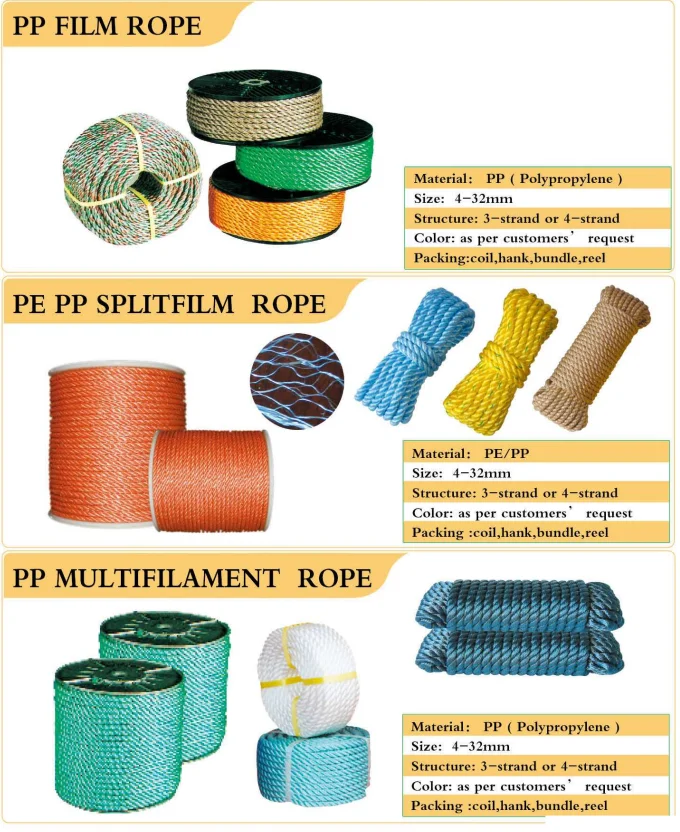 2024-08-16 12.32.19.png