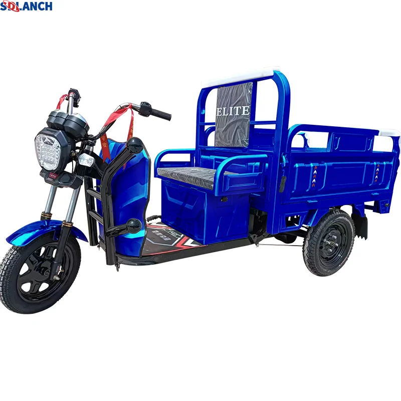 Village Field Factory High Performance Heavy Duty 3 Wheeler Electric Tricycle For Cargo