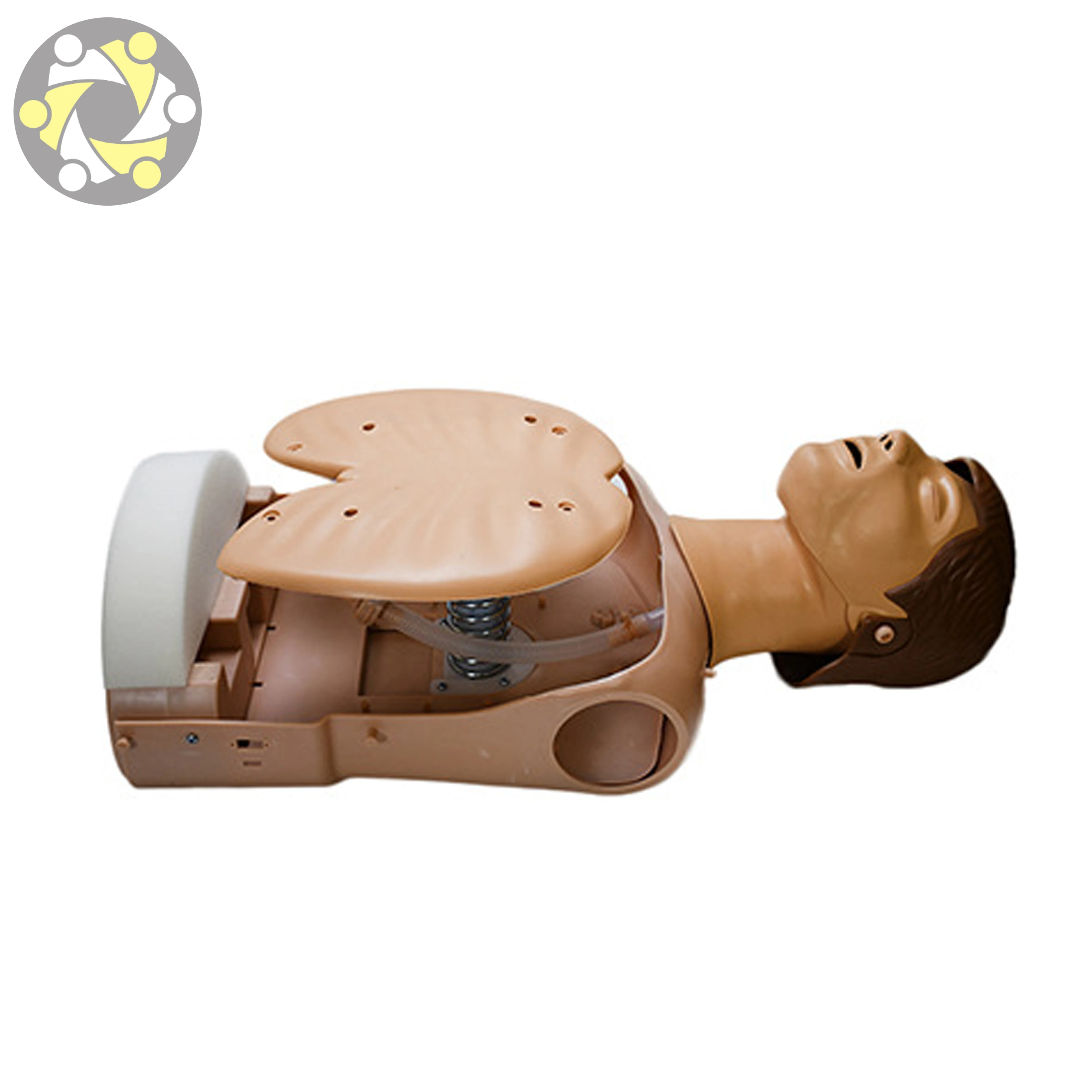 Medical Science Factory Price Half Body CPR Training Manikin Model CPR Training Combination Simulator Plastic First Aid Manikin