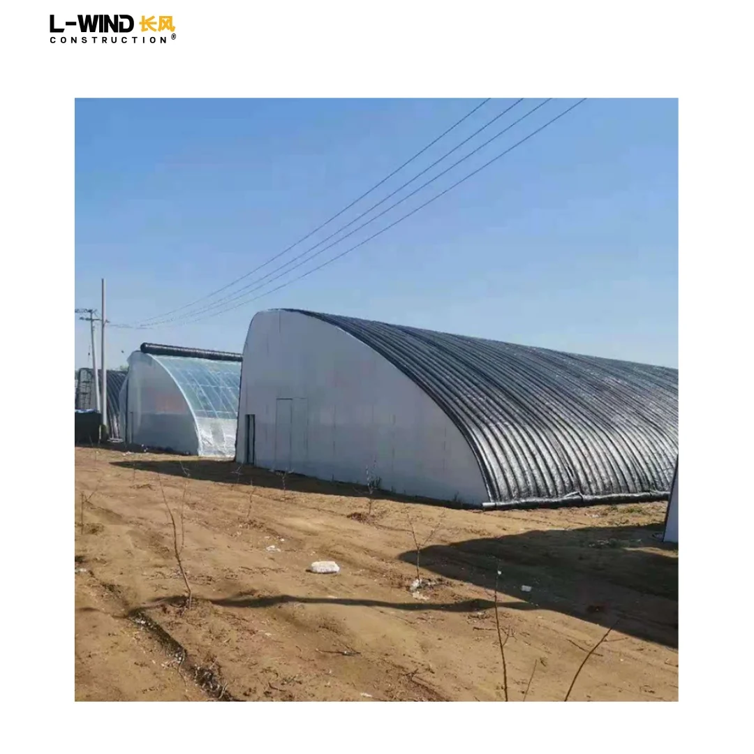 Agricultural Vegetable Planting Single Span Plastic Film Tunnel Green House kit Insulation Greenhouse Hoop House