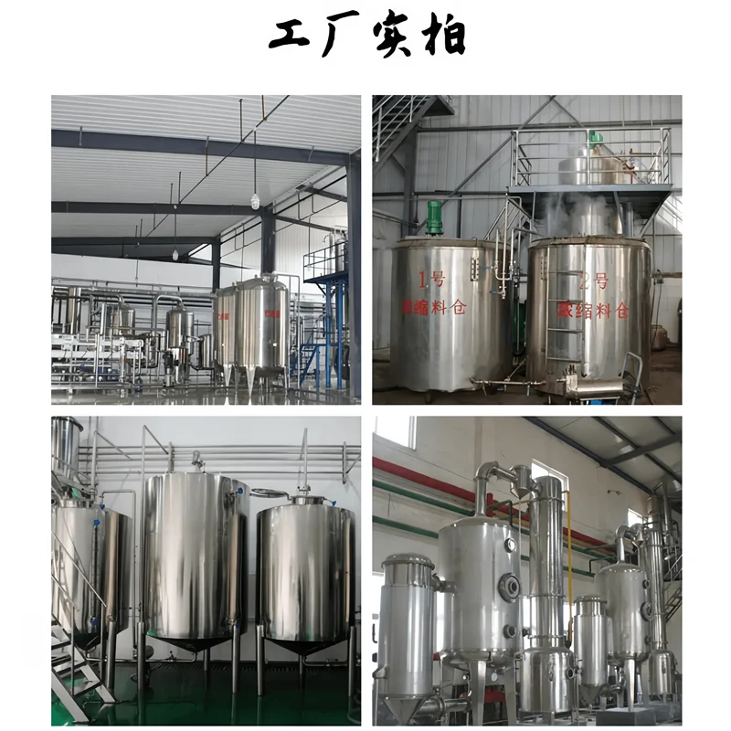 High quality pure natural black truffle extract black pine dew powder