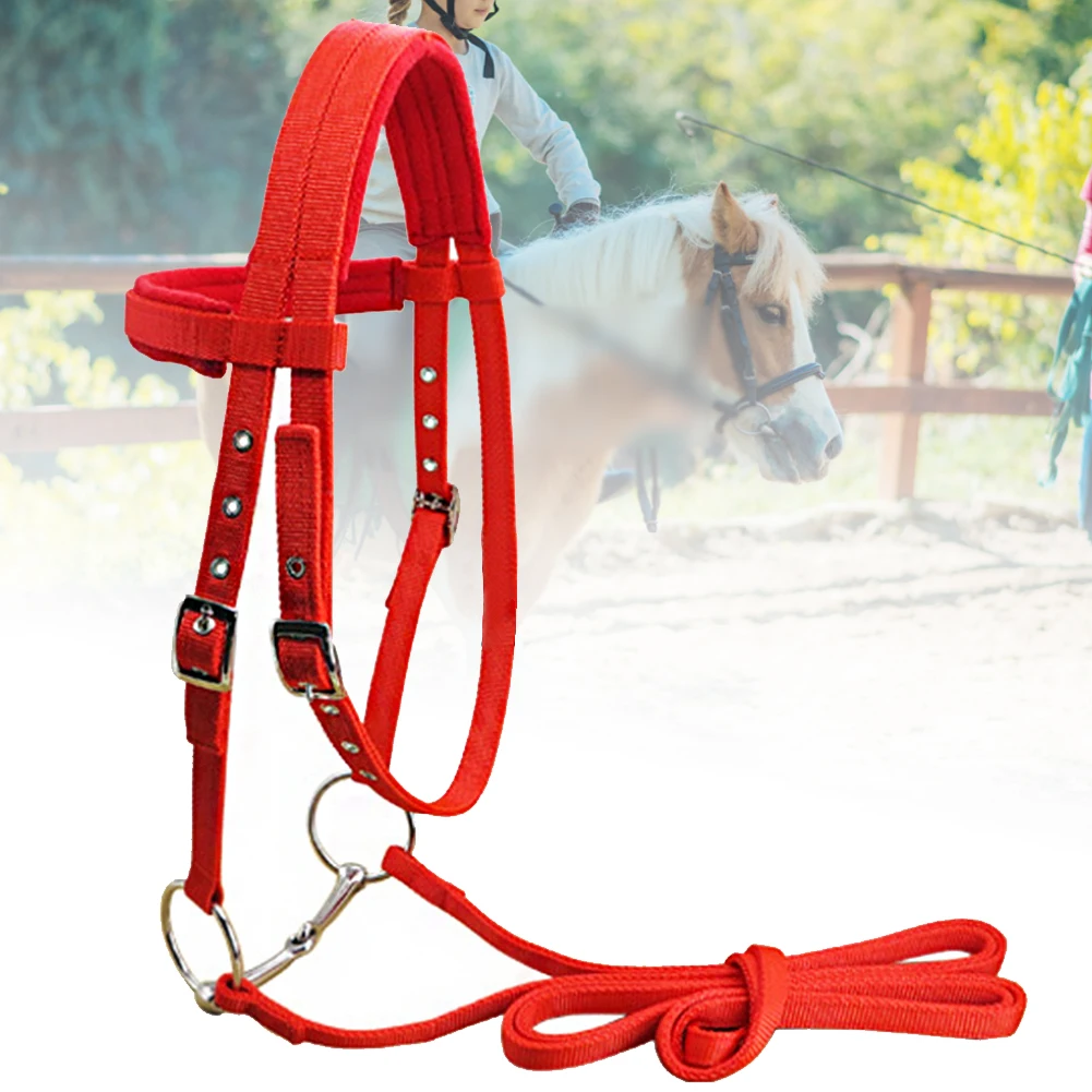 Amazon Hot Sales Horses Ricing Adjustable Training Equipment Nylon Horse Halter for Riding