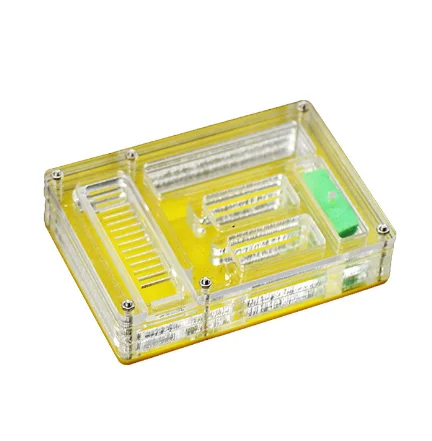 wholesale popular transparent acrylic ant tower habitat farm tower for kids