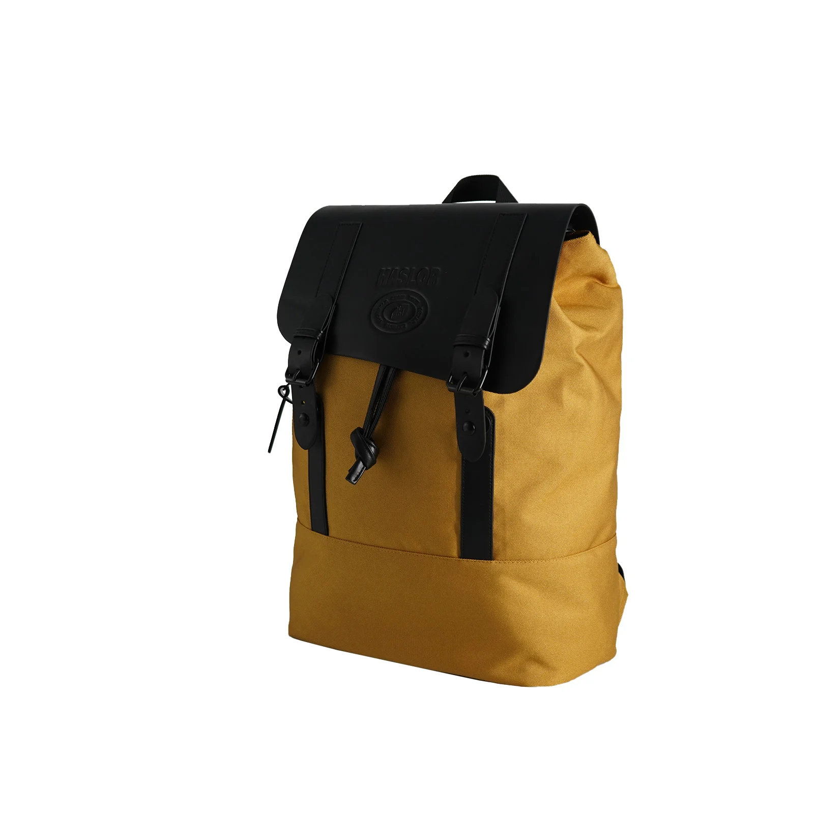 Haslor custom backpack laptop 9900D/PU waterproof recycled material school backpack waterproof casual sports backpacks