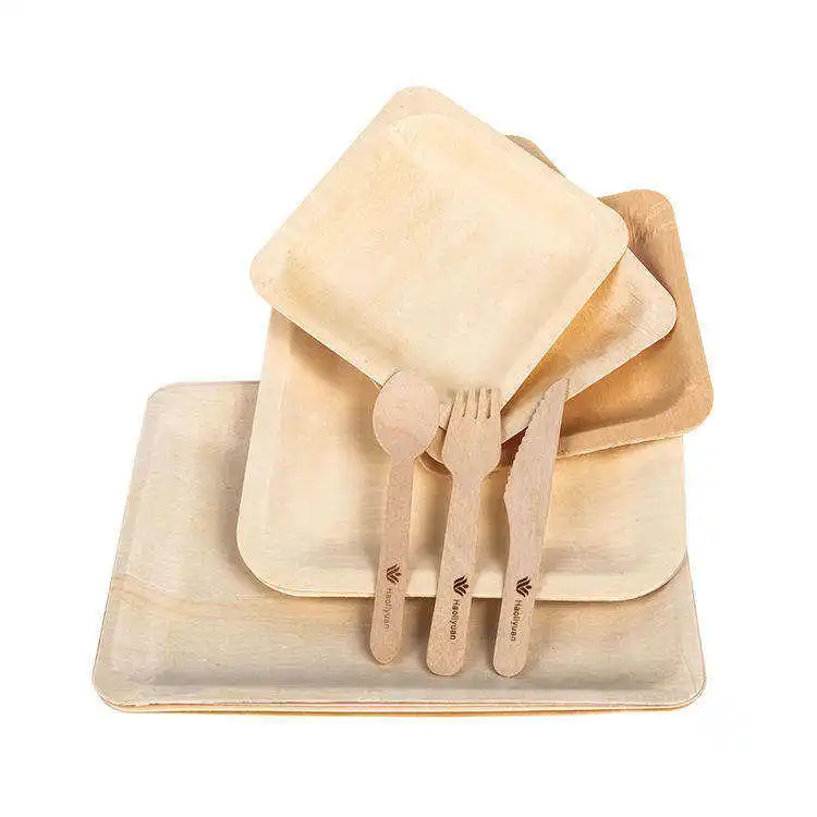 Factory Outlet Eco-Friendly 100% wooden disposable plate disposable fruit plate disposable party tableware