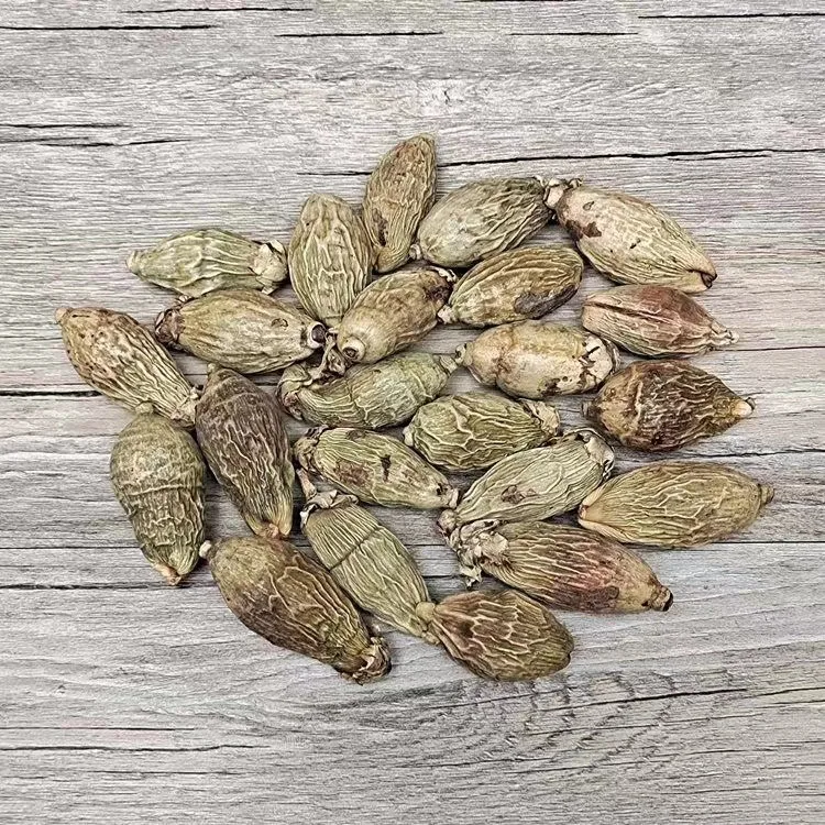 BaiXiangHui Wholesales 2024 new crop betel nut  supply good quality agricultural products betel nut