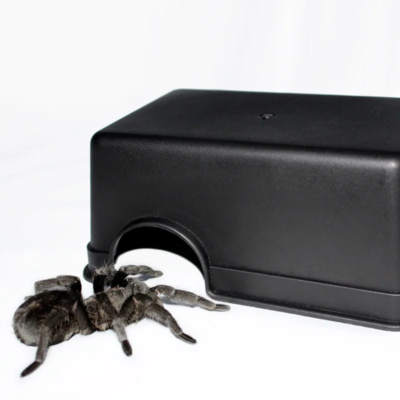 Reptile Feeding Box Reptile Hide Box Lizard Toy Snake Scorpion Small Reptile Pet Bed Nest