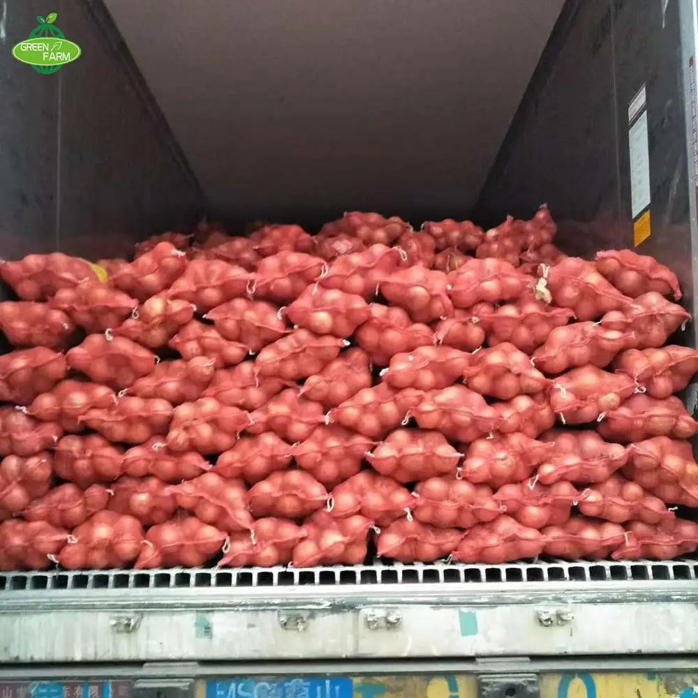 yellow onion packing in 25kg mesh bag  Sent to the Netherlands