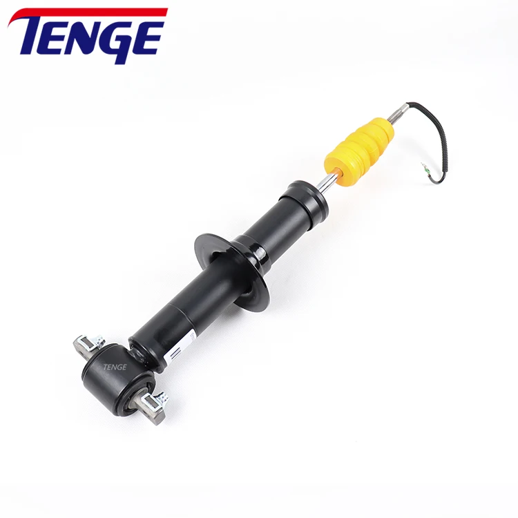 2014-2019 Shock Absorber Front-Left/Right ACDelco for Tahoe Yukon Escalade  GM 84176631 Spring Shock Absorber
