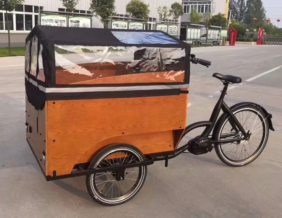 3 wheel e tricycle with Bigger Cabin electric cargo bike frame in Bicycle for sale