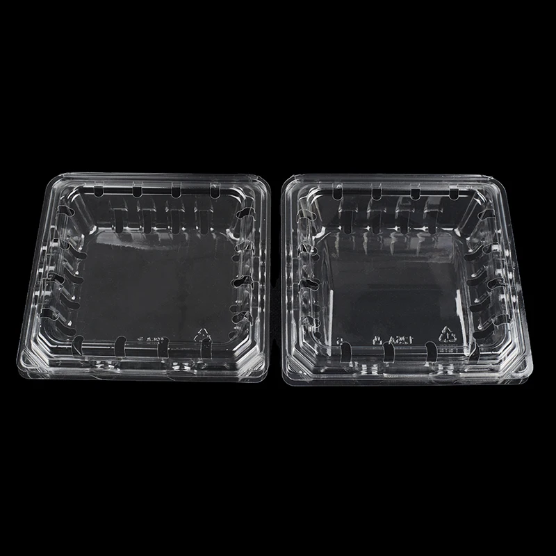 Custom Container Packaging Fresh Fruit Plastic Food Blister Box Goods Fruits Blueberry Packing Cherry Boxes With Gaps