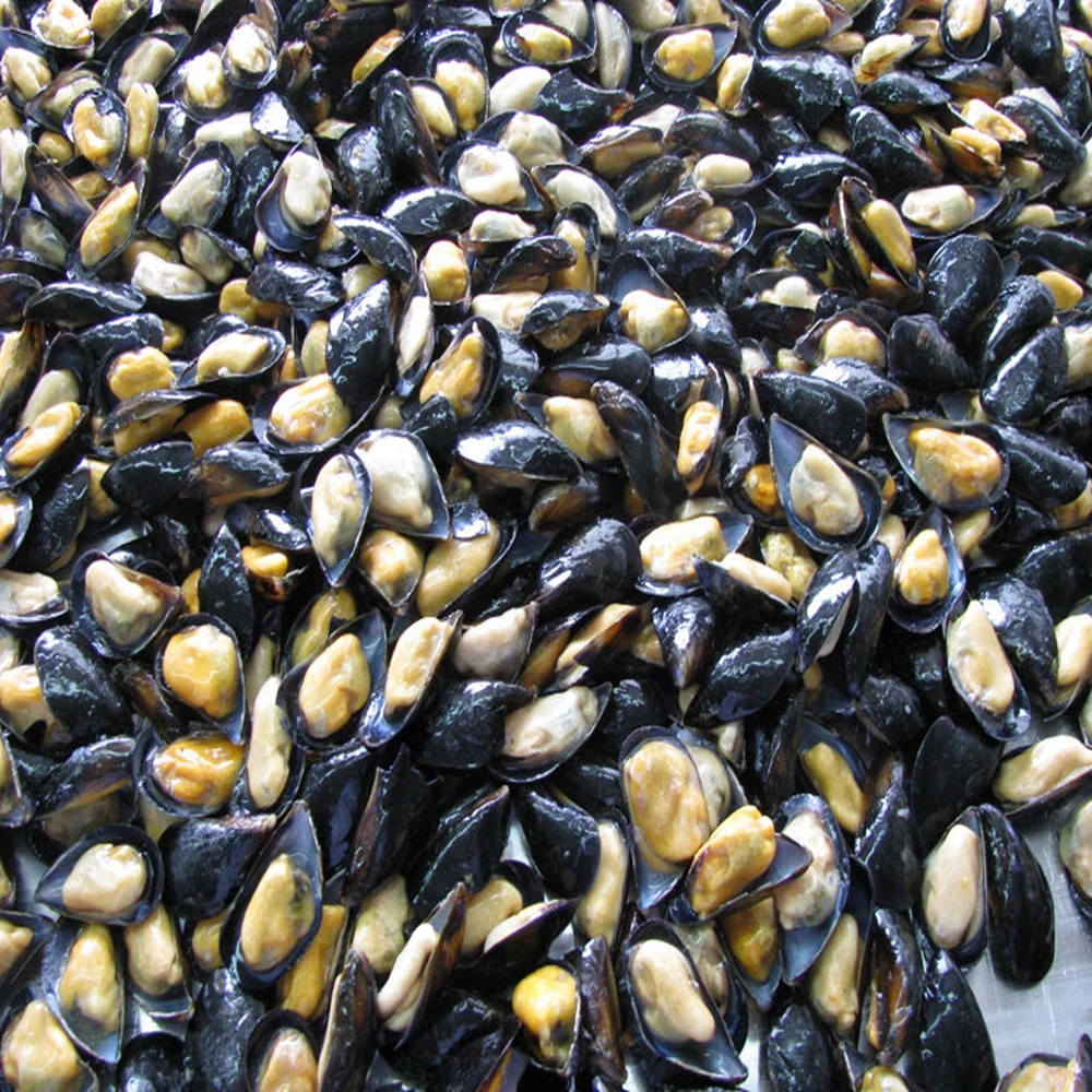 Моллюски цены