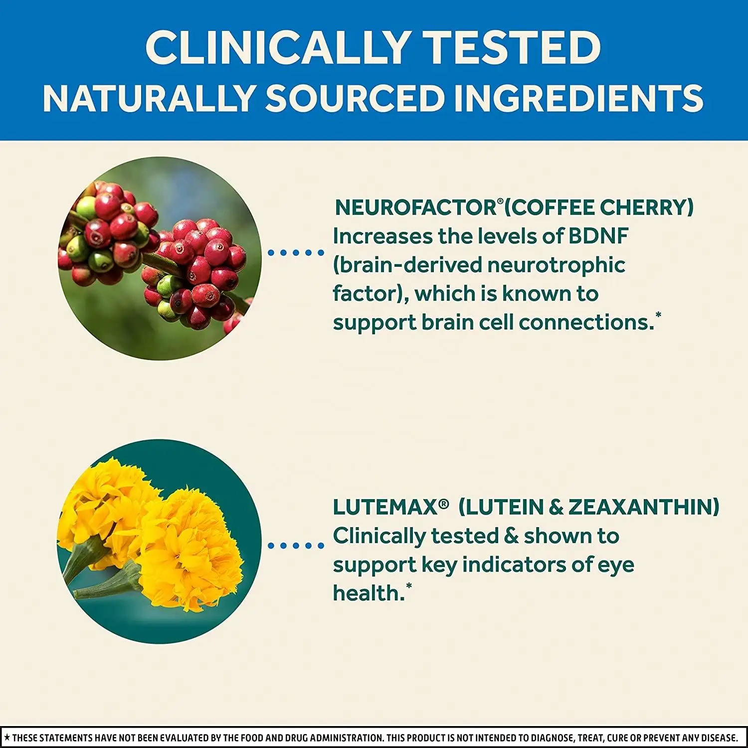 Brain + Eyes supplement capsules improve memory and concentration and contain lutein, vitamin ACE and zinc to promote eye health