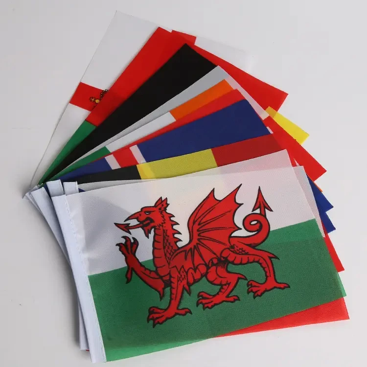 Huiyi Small Hand Held Flags Promotion Country Waving 14*21cm Custom Kazakhstan Flag