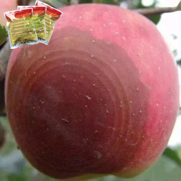 
 Новый фруктовый фунгицид дитианон 50% WP для яблочного кольца  