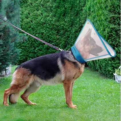 
Wholesale Plastic Pet Dog Elizabeth Collar Cute Recovery Healing Protective Cat Collar 