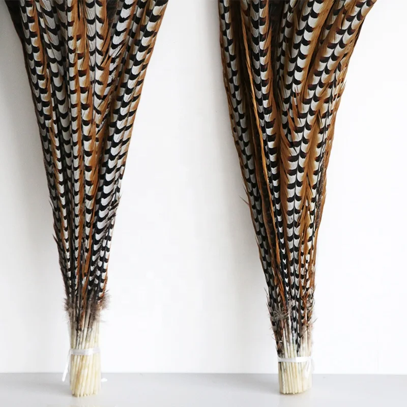 Wholesale Stock Selected Top Quality 20-150 cm Natural Long Ringneck Reeves Pheasant Tail Feathers large plumas