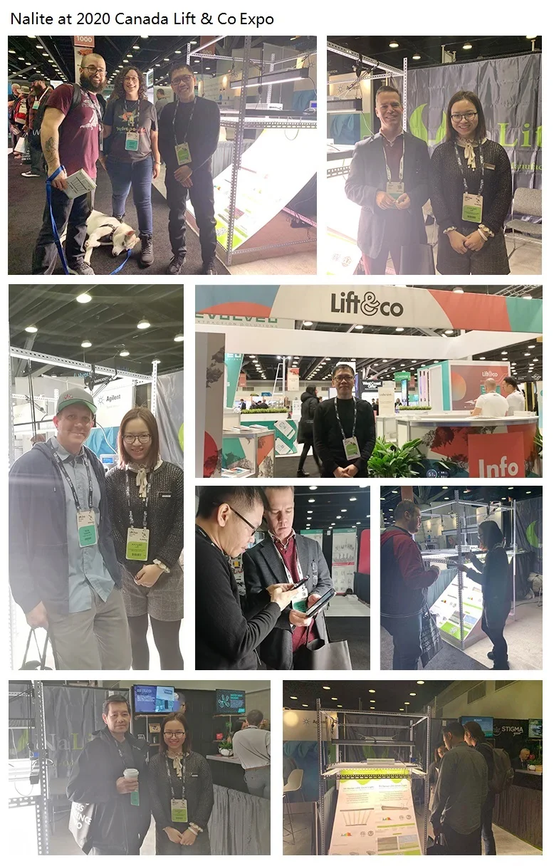 Nalite H2 commercial growing horticulture best sale LED+Grow+Lights Samsung led lm301 lm561c 640w 800w veg and flower bloom