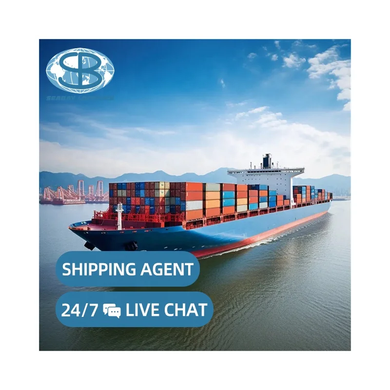 Seabay sea Shipping Agent LCL FBA DDP Door To Door trucking Delivery China To America USA dropshipping freight forwarder