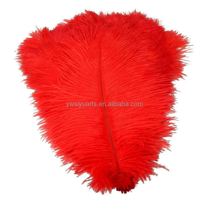 Hot Sale Cheap Ostrich Feathers 15-80 cm Red Ostrich Feather for Sale
