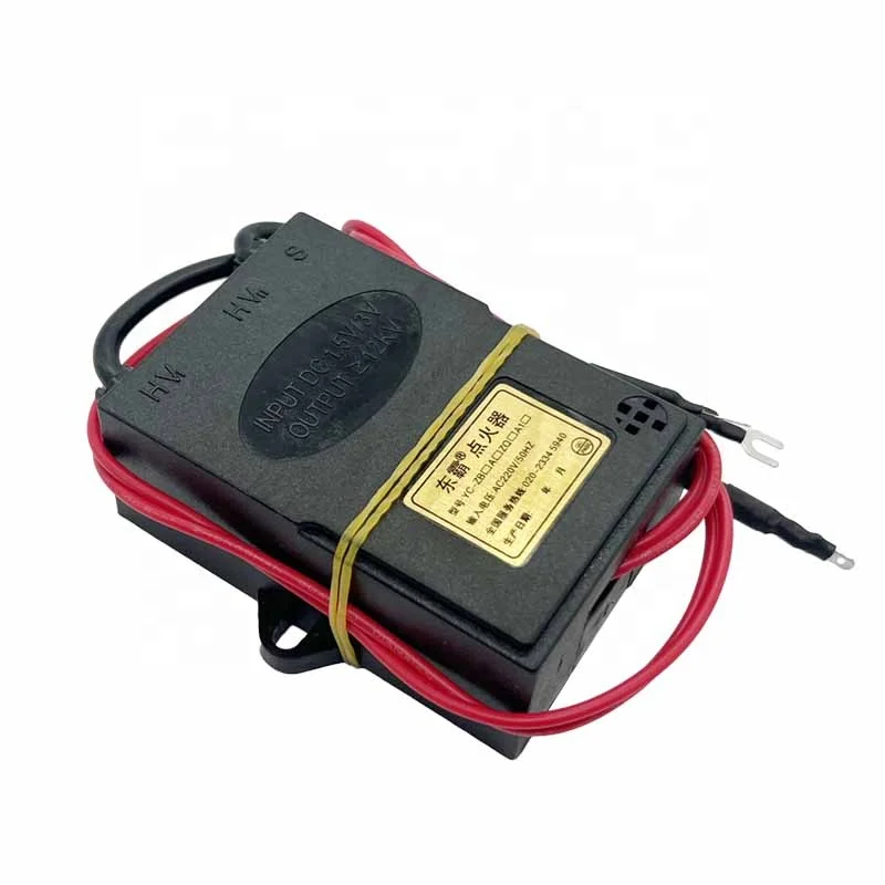 A Delayed (Regular Version) Dongba Direct Sales 220V Pulse Electronic Igniter High Voltage Igniter for Car High Flame Furnace