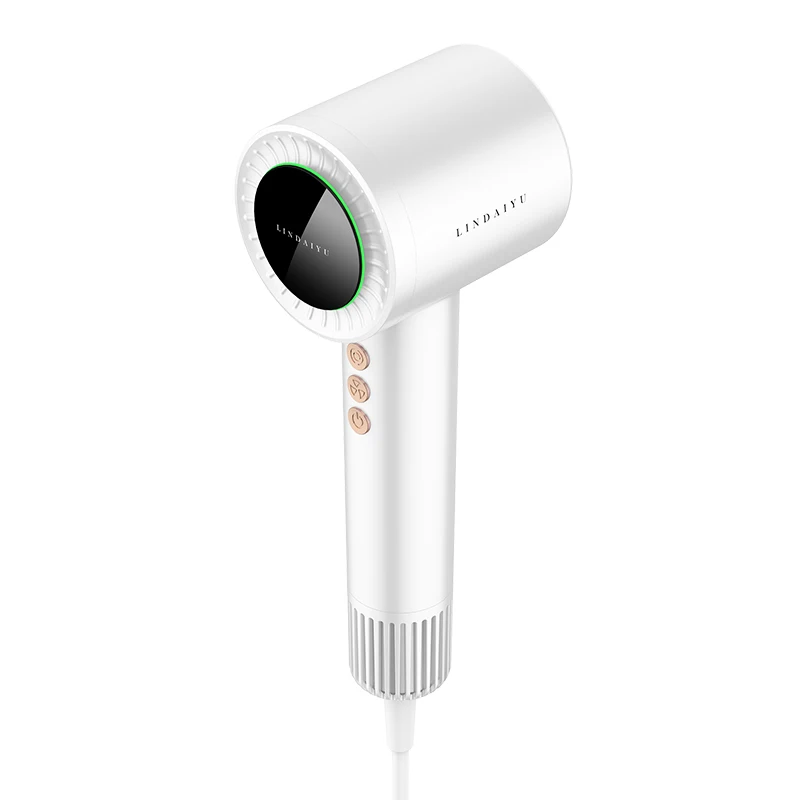 LDY Professional Hair Dryers Constant Temperature Concentrator Nozzle 4-gear Temp Cold/hot Air Hand Dryer for Hair Electric