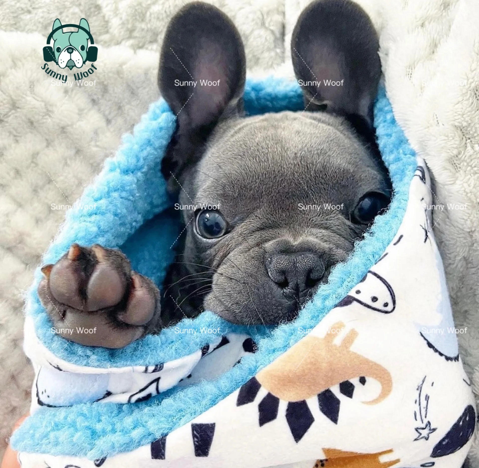 Hot Selling Washable Comfortable Soft Blanket Cat Dogs Pet Bed Accessories printed pattern blanket custom design