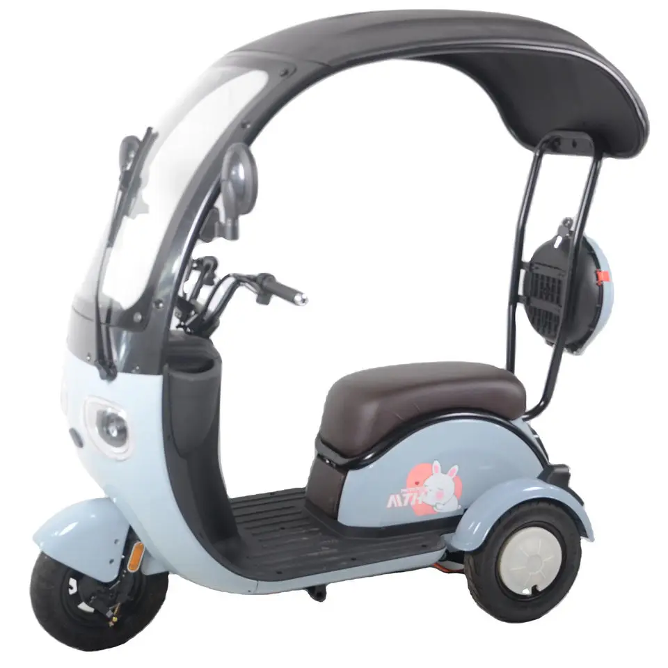Cute Design Three Wheel Electric Tricycles Drum Brake With Roof Popular Scooter