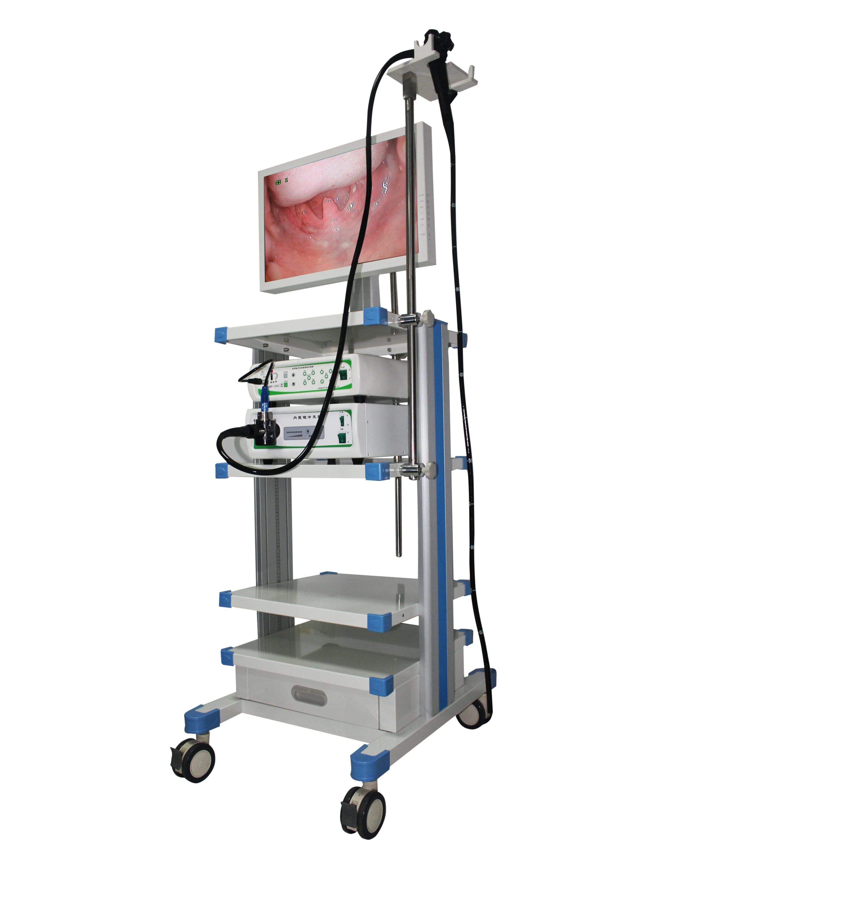 EMV-200 Medical Hospital Device Gastroscopy Endoscopy System Flexible Video Optic Gastroscope With Cold Light Source