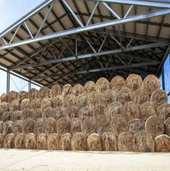 Processing Prefabricated Steel Structure Hay shed Barn Insulated Dog Kennel Shed Farm Warehouse shed construction