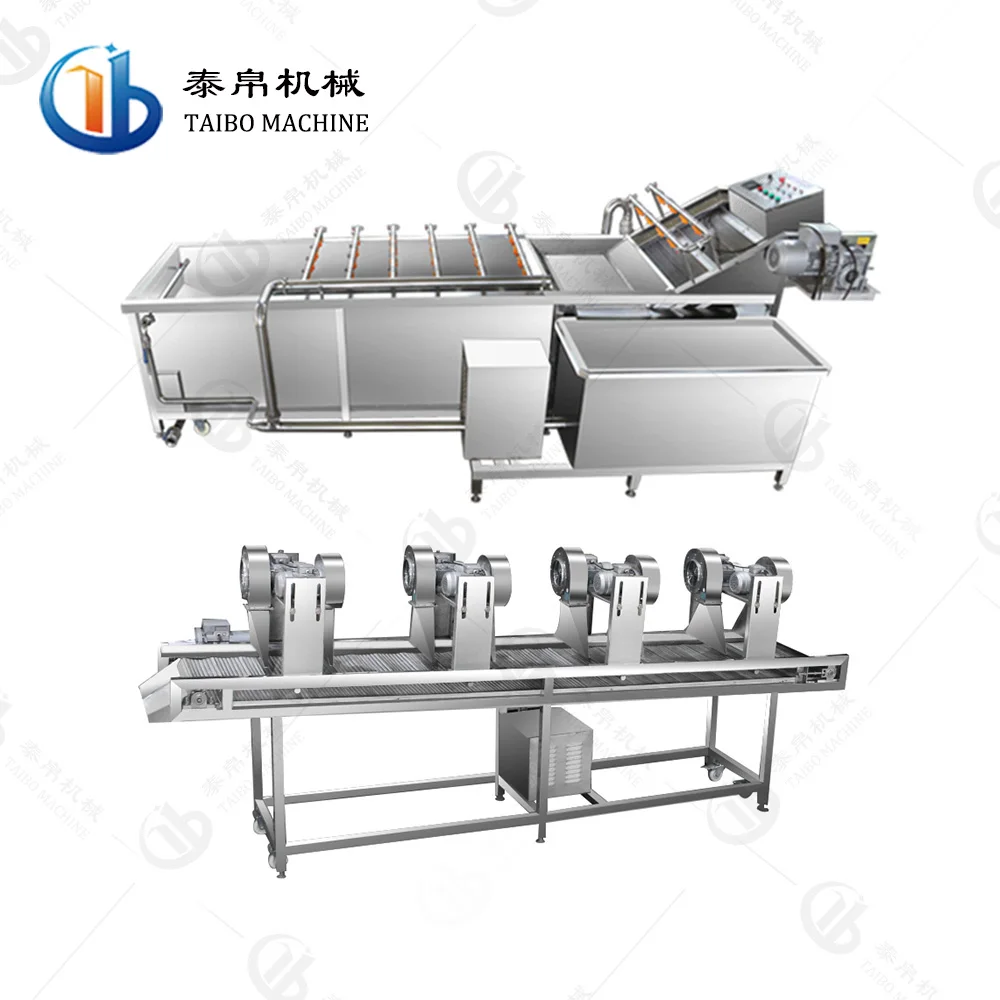 SUS304 Ozone Disinfection Potato Carrot Onion Cassava Salad Celery Leaf Vegetable Fruit Washing Machine  Drying Machine