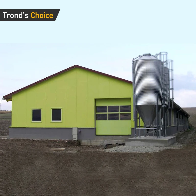 High Quality  Cheap Prefabricated DWG Designs Chicken Steel Structure  Coop Houses Shed For Sale