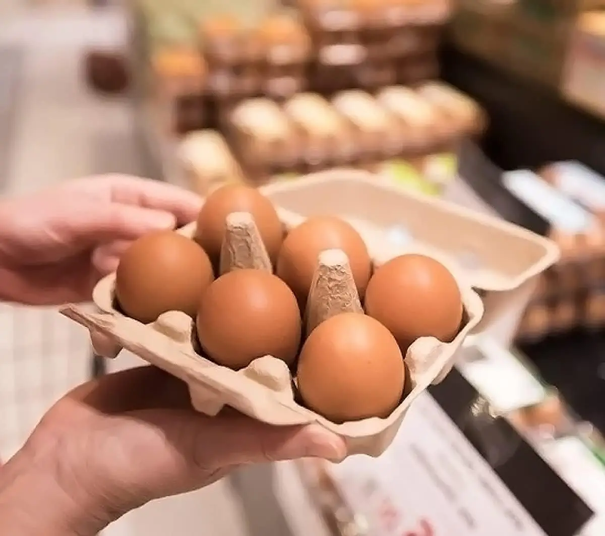 HOT SALE  Egg Carton for Farm Fresh Eggs, Recycled Paper Cardboard, Sturdy & Reusable