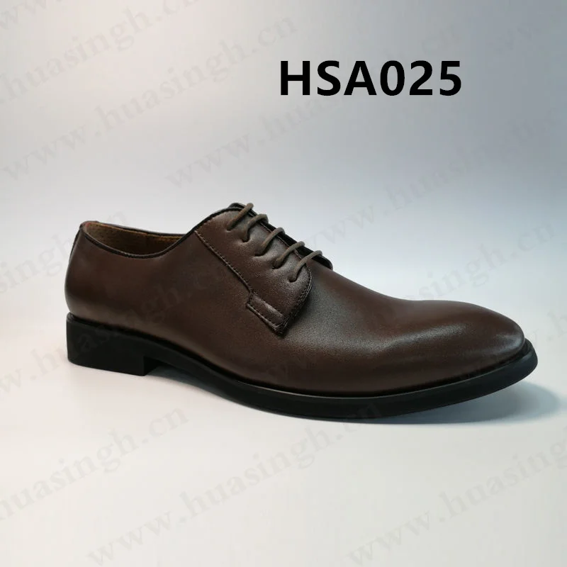 HSA02502