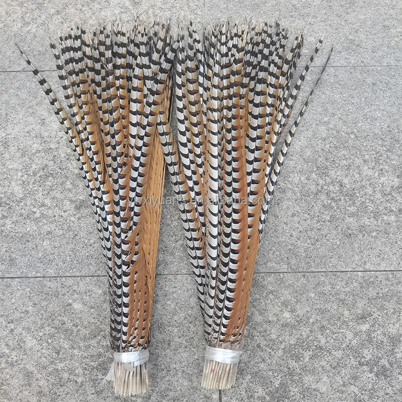 Natural Pheasant Feathers 10-160 cm Long Reeves Pheasant Tail Feathers for Carnival