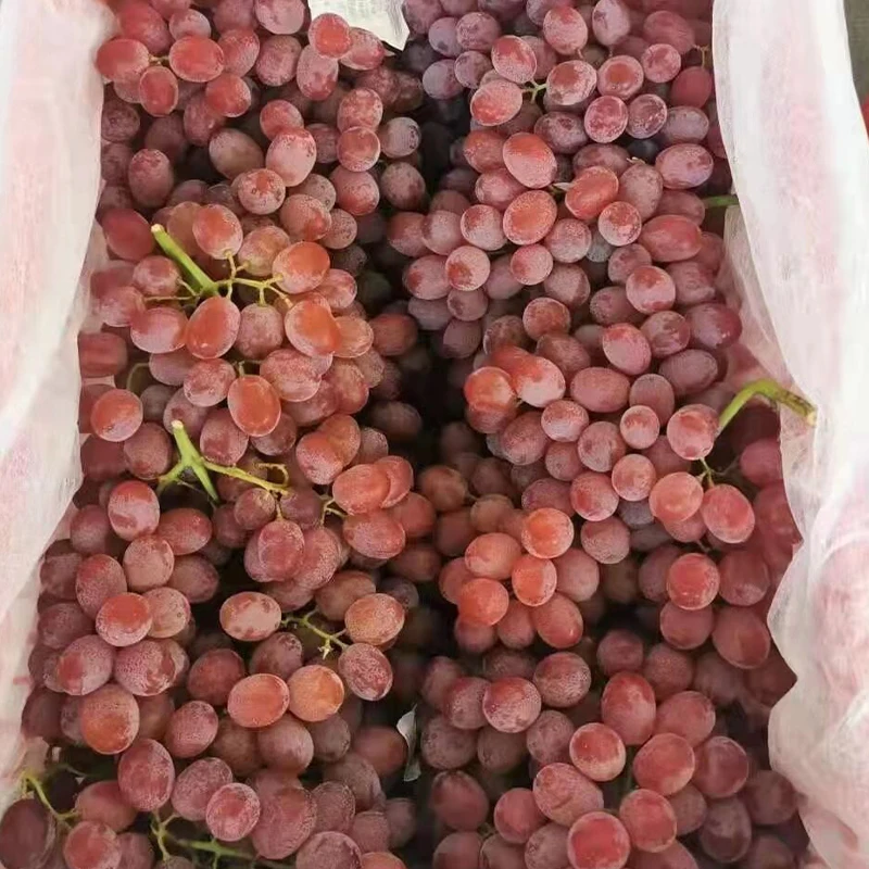 Сладкий натуральный здоровый свежий малиновый бессаженный виноград