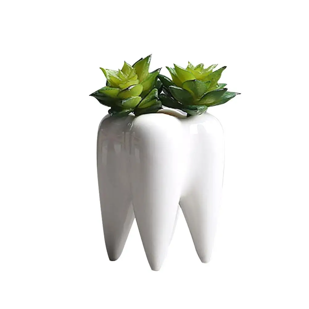 ceramic teeth shape flower pot for dentistry bonsai pot tooth planter white ceramic succulent planter pots modern home decor