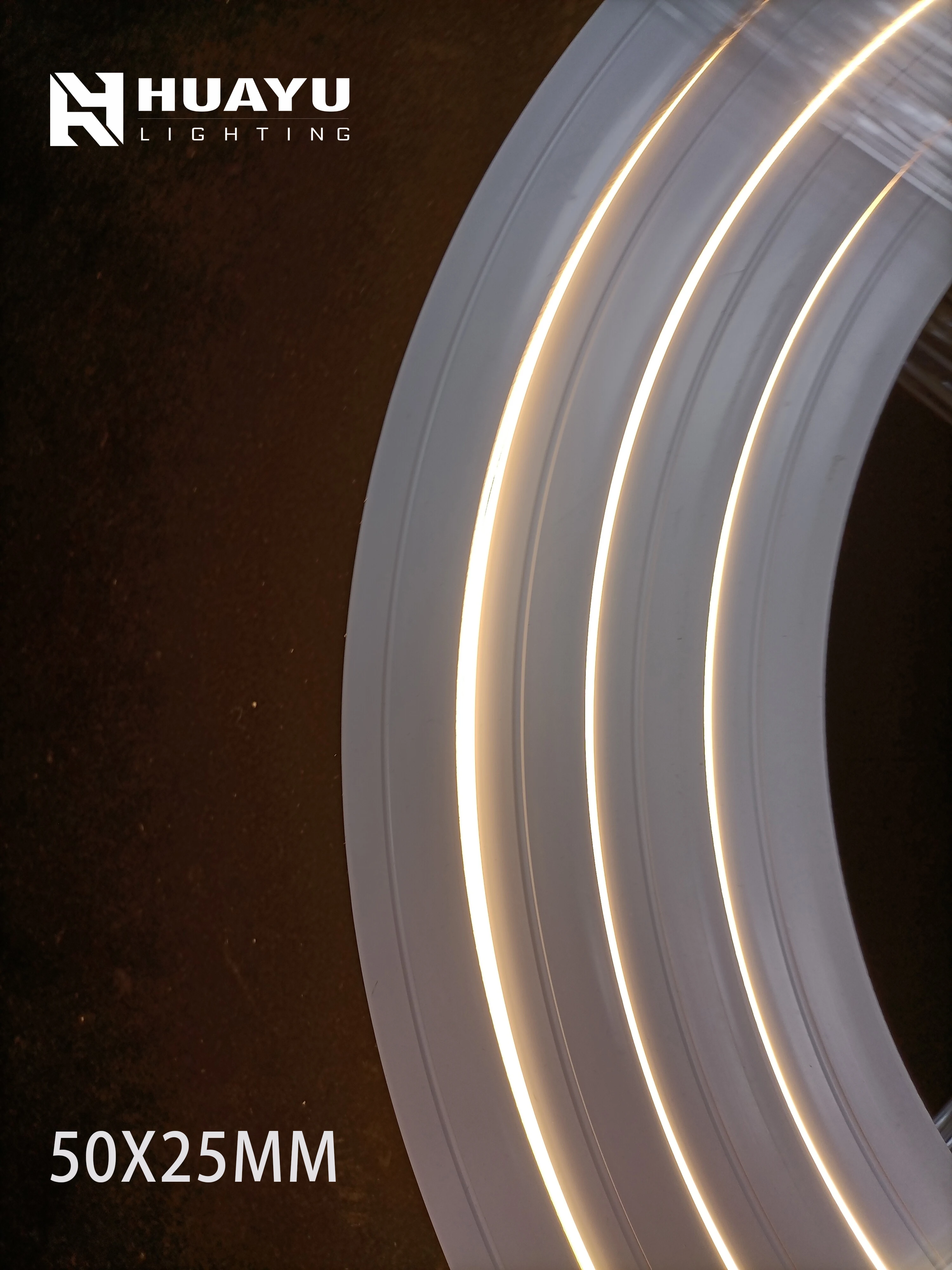 Super Wide 5025 LED Neon flex Silicone Tube IP65 Waterproof 24V Hight Bright 10/12mm PCB 3 year warranty LED neonflex light