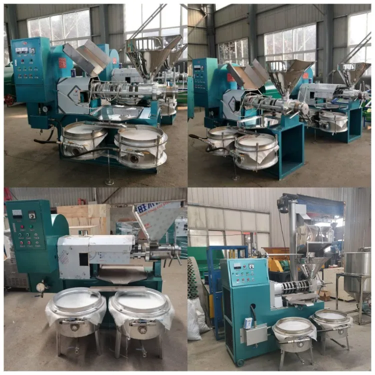 China grape seed  olive oil cold  extractor/ oil press machine for business