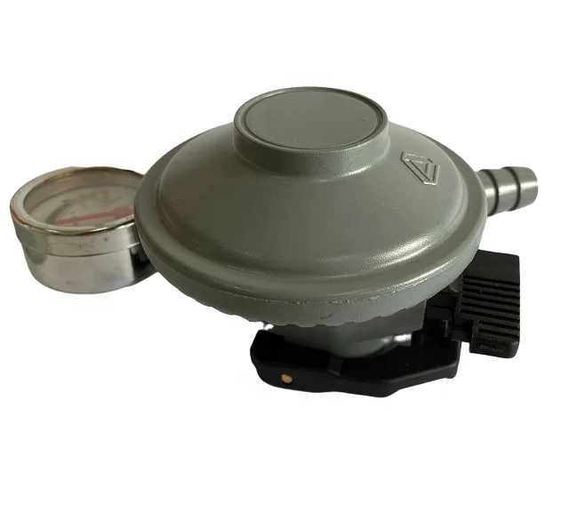 cylinder accessories gas Factory wholesale with meter LPG regulator
