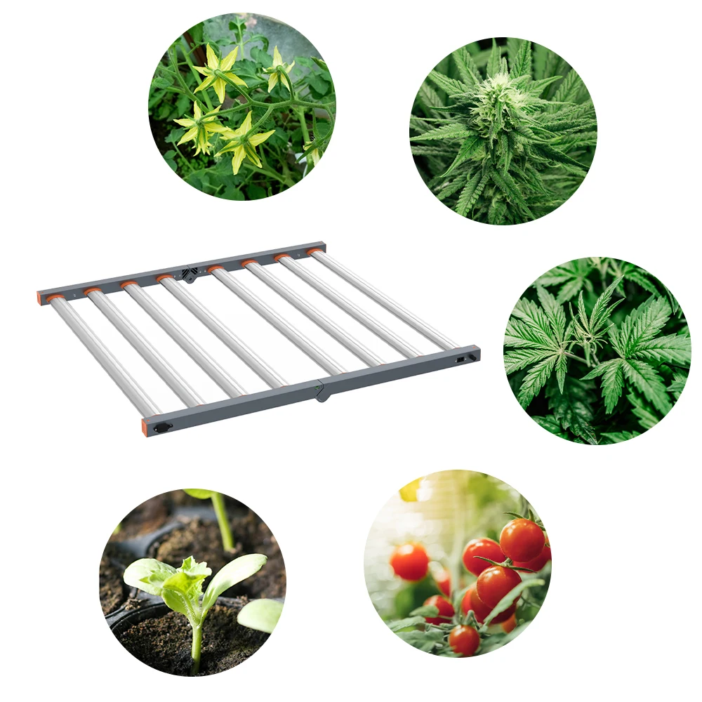 Waterproof Greenhouse Hydroponic Plant Growing System Full Spectrum LED  Grow Light